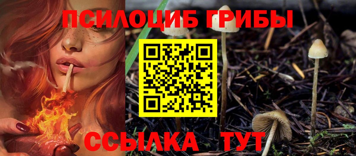 цена   Псилоцибиновые грибы мицелий  Вход с VPN  Псилоцибиновые грибы GOLDEN TEACHER  Ирбит 